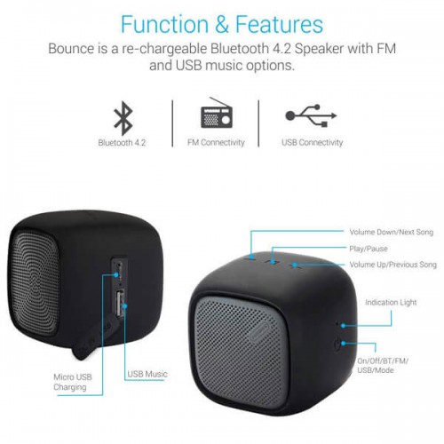 Portronics Bounce POR-952 Portable Bluetooth Speaker with FM