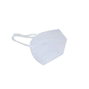 Varnita N95 Face Mask